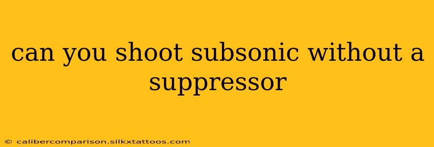 can you shoot subsonic without a suppressor