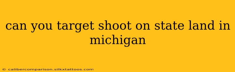 can you target shoot on state land in michigan