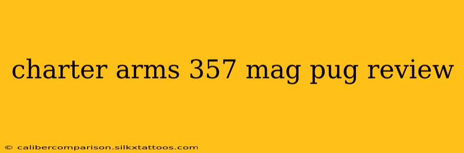 charter arms 357 mag pug review