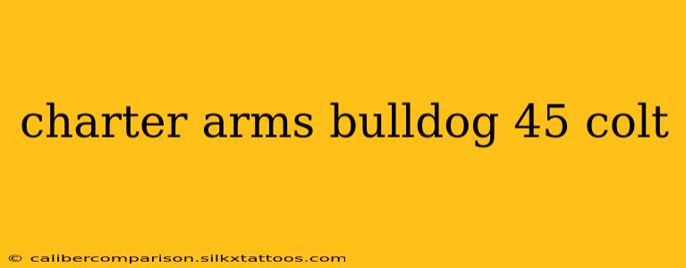 charter arms bulldog 45 colt