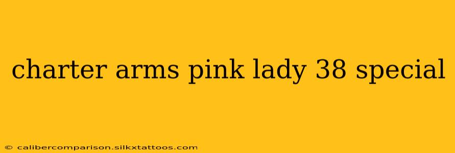 charter arms pink lady 38 special