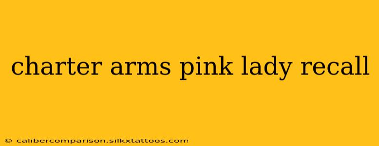 charter arms pink lady recall