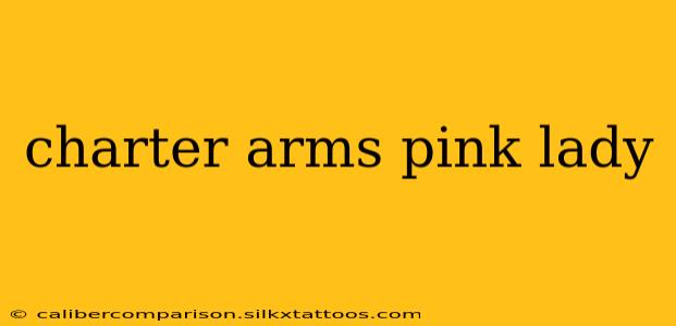 charter arms pink lady