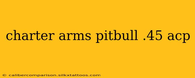 charter arms pitbull .45 acp