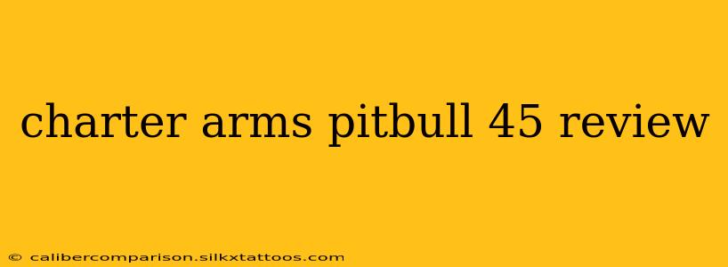 charter arms pitbull 45 review