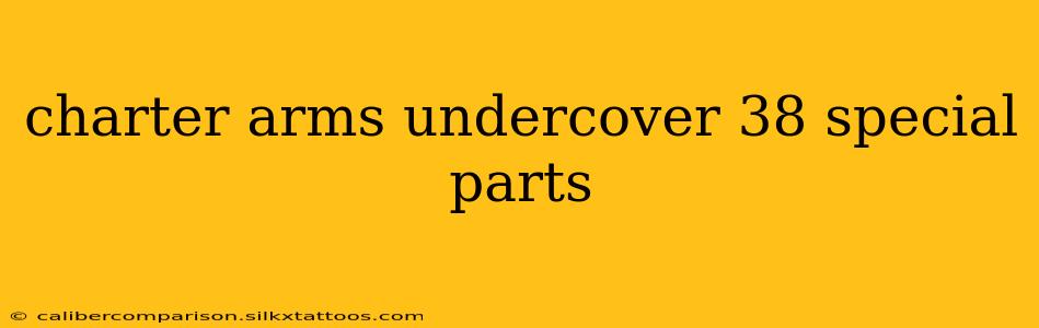 charter arms undercover 38 special parts