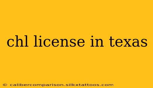 chl license in texas