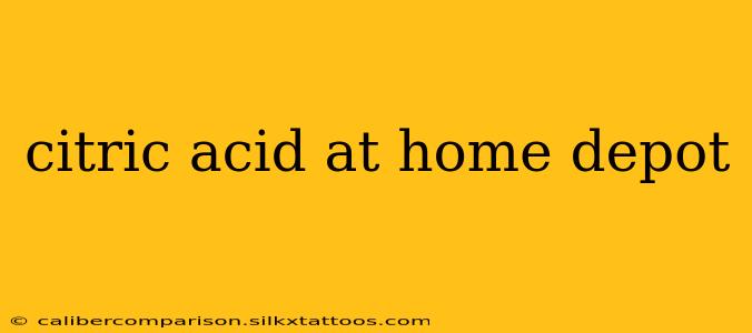 citric acid at home depot