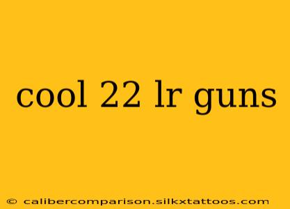 cool 22 lr guns