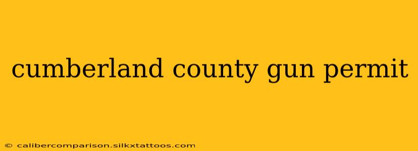 cumberland county gun permit