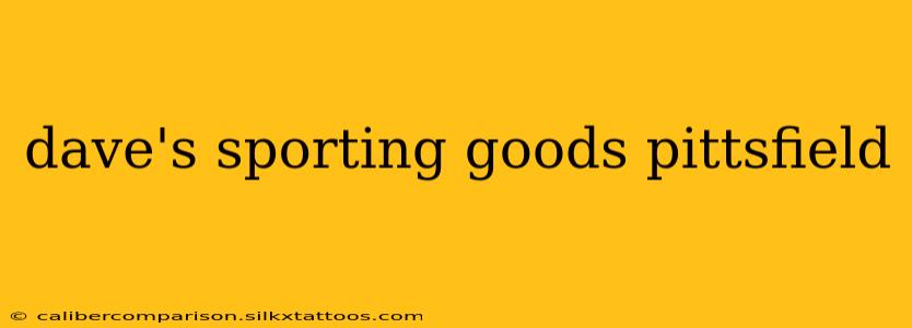 dave's sporting goods pittsfield