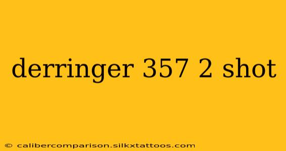 derringer 357 2 shot