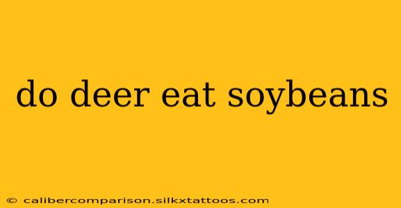 do deer eat soybeans