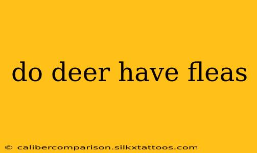 do deer have fleas