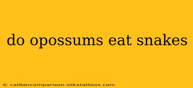 do opossums eat snakes