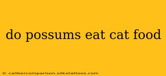 do possums eat cat food