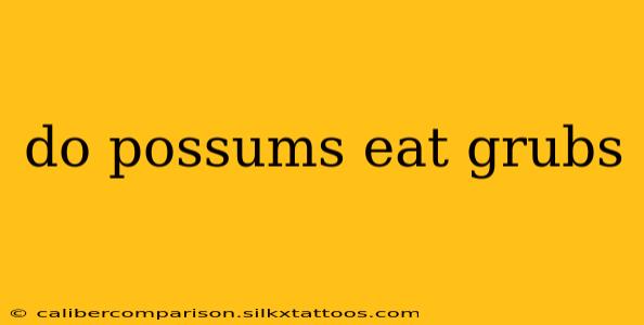 do possums eat grubs