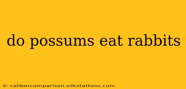 do possums eat rabbits