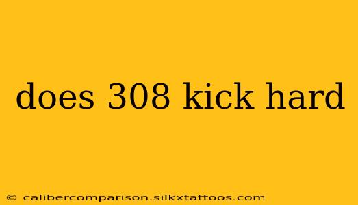 does 308 kick hard