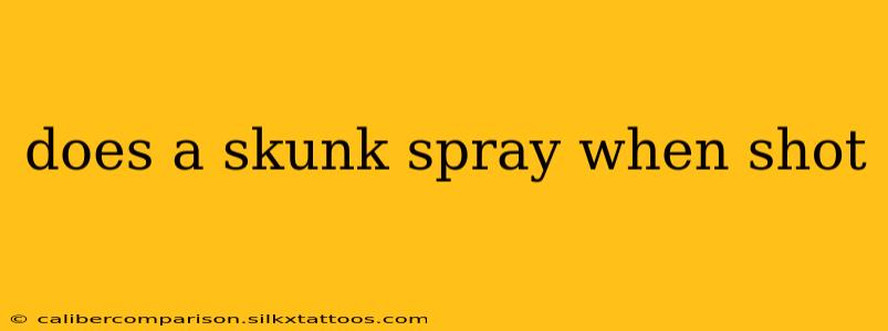 does a skunk spray when shot