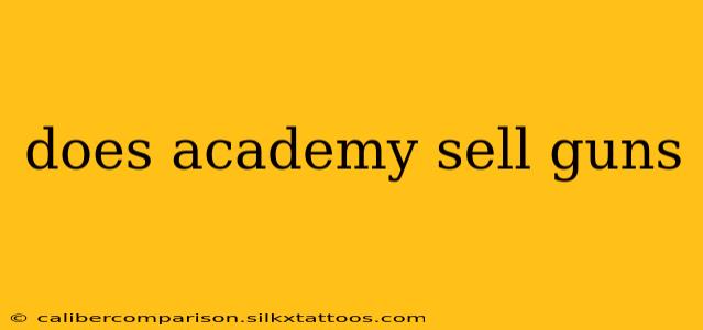 does academy sell guns