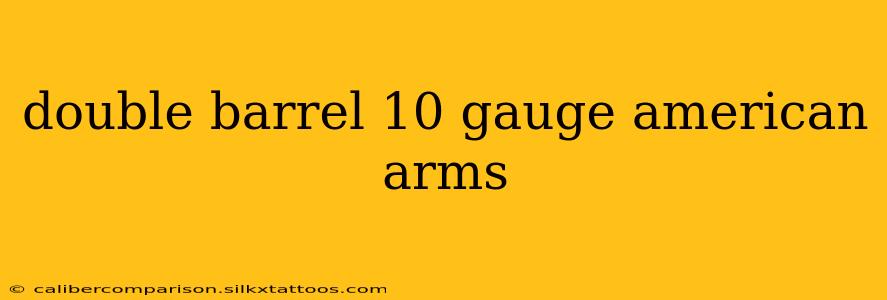 double barrel 10 gauge american arms