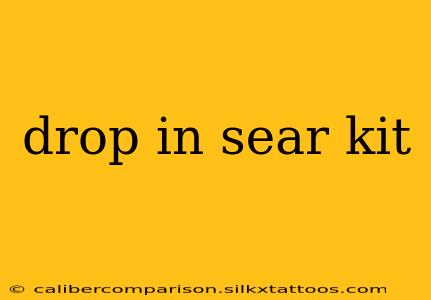 drop in sear kit