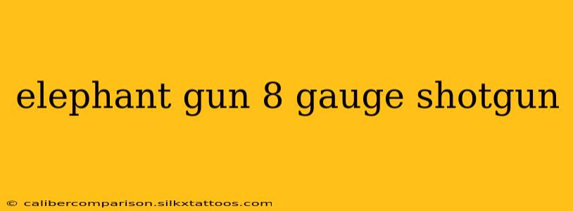 elephant gun 8 gauge shotgun