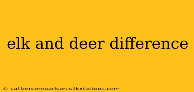 elk and deer difference