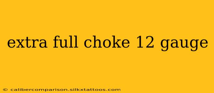 extra full choke 12 gauge