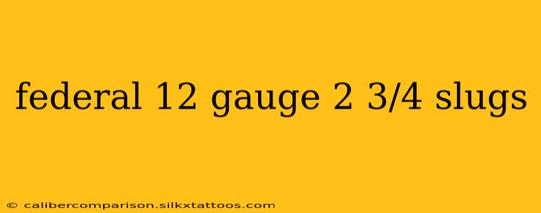 federal 12 gauge 2 3/4 slugs