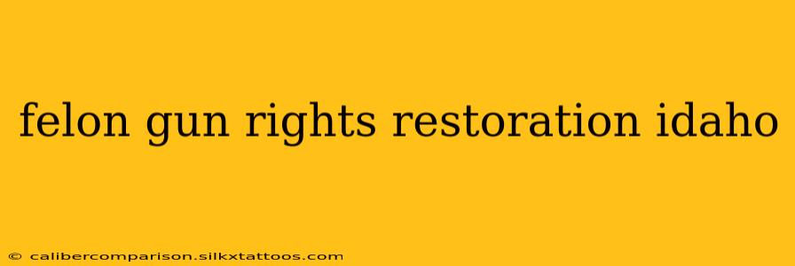 felon gun rights restoration idaho