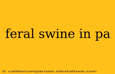 feral swine in pa