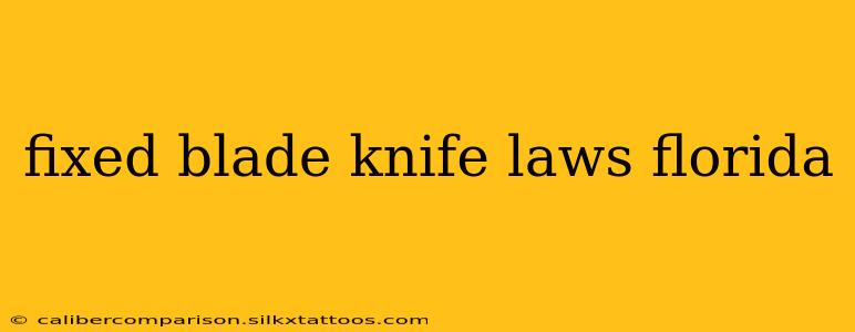 fixed blade knife laws florida