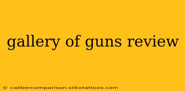 gallery of guns review