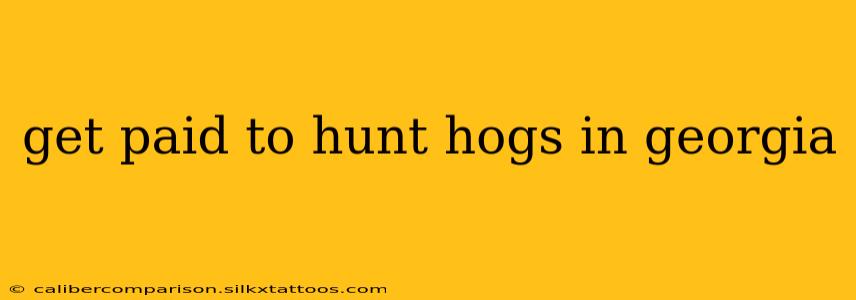 get paid to hunt hogs in georgia