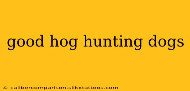 good hog hunting dogs