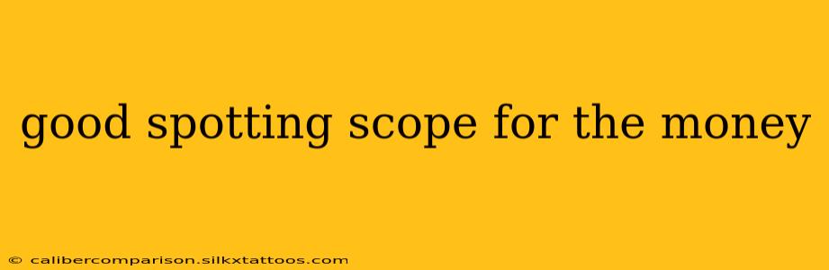 good spotting scope for the money