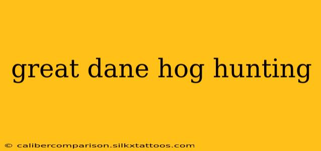 great dane hog hunting