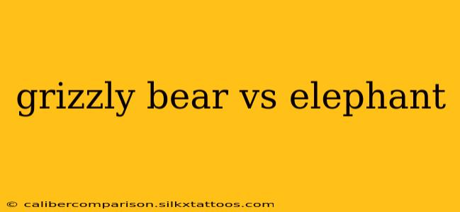 grizzly bear vs elephant