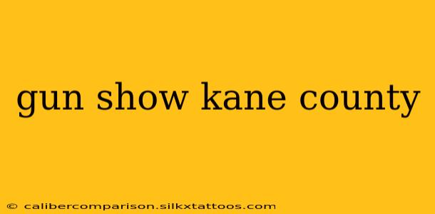 gun show kane county