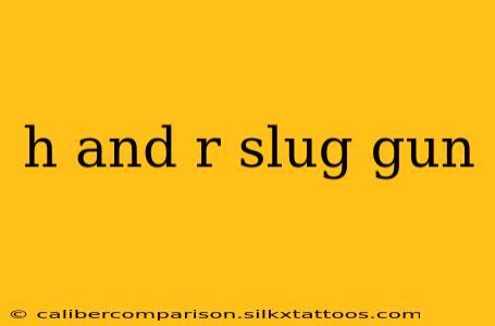 h and r slug gun