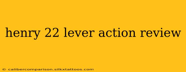 henry 22 lever action review