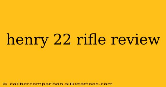 henry 22 rifle review