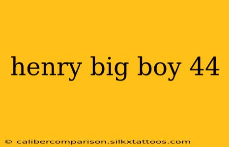 henry big boy 44