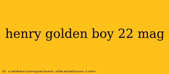 henry golden boy 22 mag