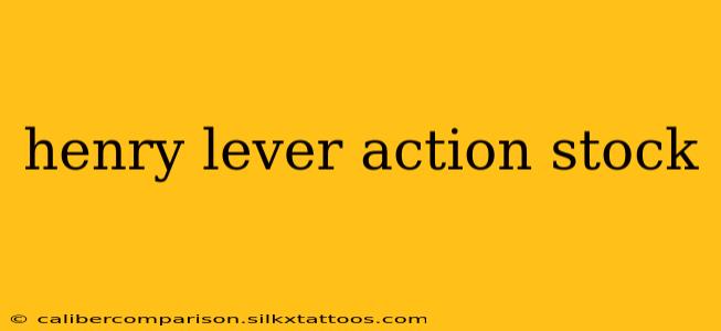 henry lever action stock