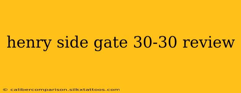 henry side gate 30-30 review