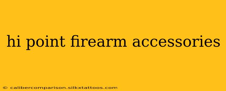 hi point firearm accessories