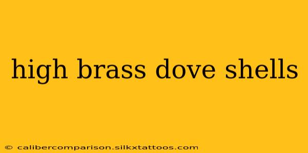 high brass dove shells